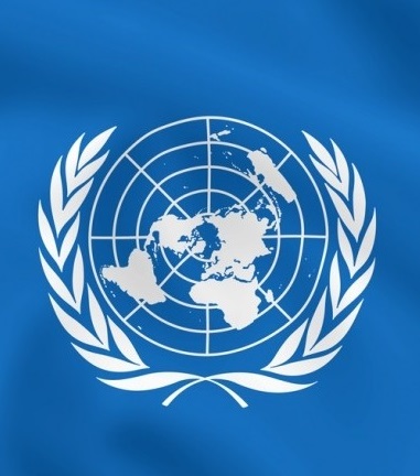 ۲۰۲۰ ؛ سال سخت جهان به اذعان UNODC