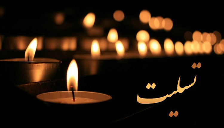 پیام تسلیت رییس انجمن در پی درگذشت برادر دکتر محمد حاتمی