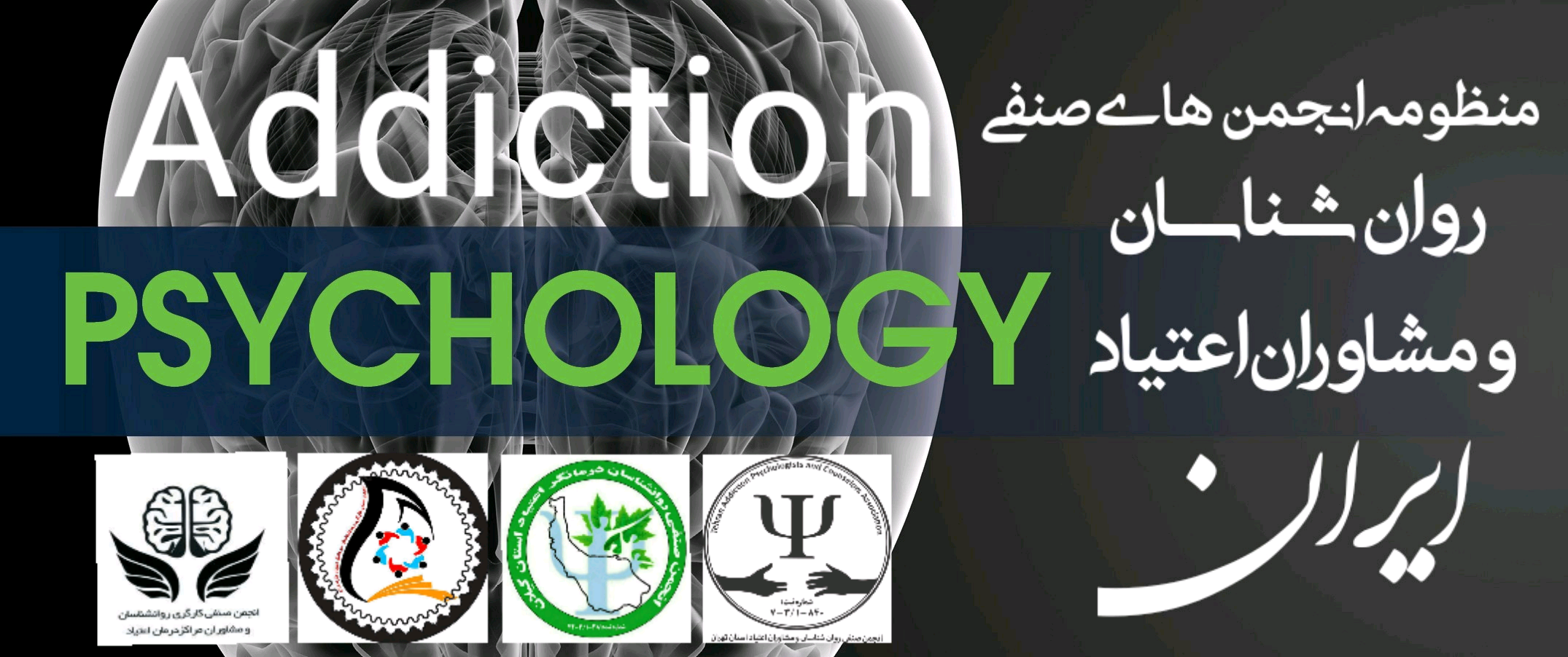 منظومه انجمن‌های صنفی روان‌شناسان و مشاوران اعتیاد ایران؛ از ایده تا عمل
